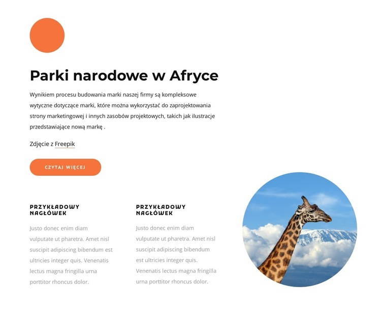 Parki narodowe w Afryce Szablony do tworzenia witryn internetowych