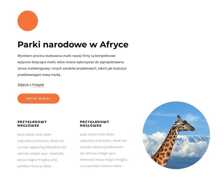 Parki narodowe w Afryce Projekt strony internetowej