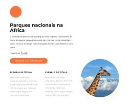 Construtor De Sites Premium Para Parques Nacionais Na África