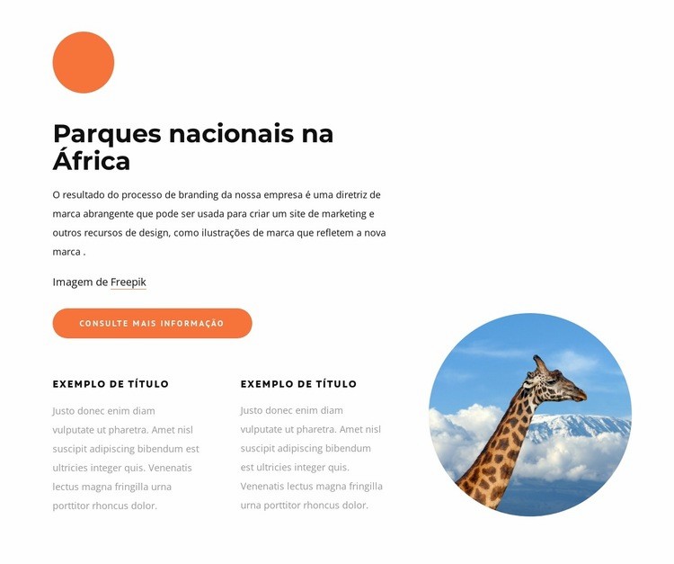 Parques nacionais na África Maquete do site