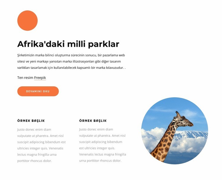 Afrika'daki milli parklar Açılış sayfası