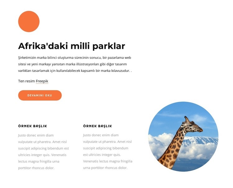 Afrika'daki milli parklar Web sitesi tasarımı