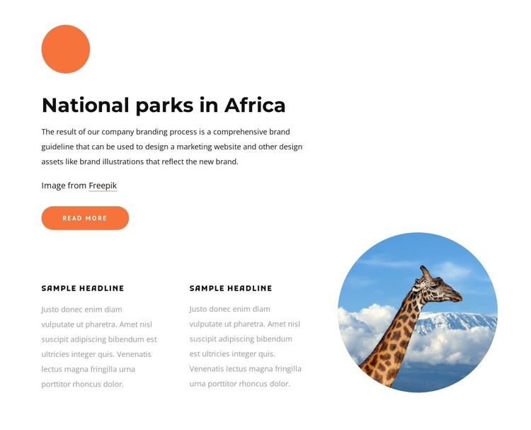 National parks in Africa Web Design