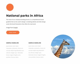 National Parks In Africa - Responsive Mockup