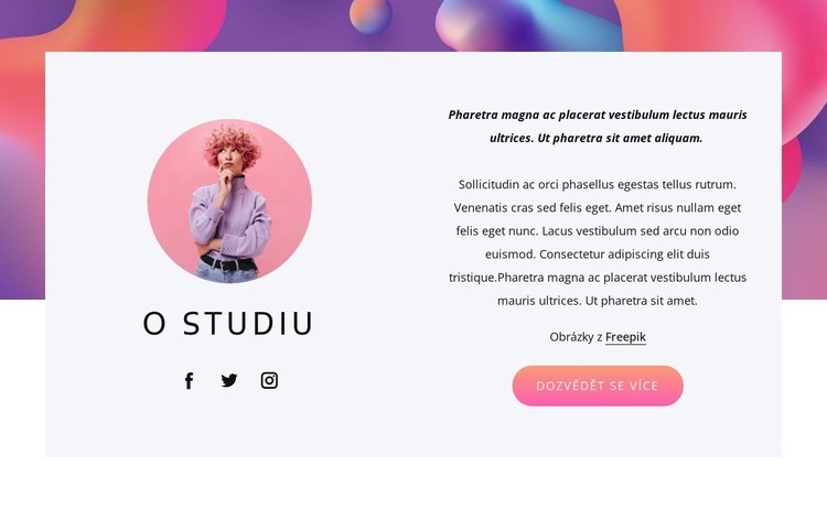 Design, branding a ilustrace Šablona HTML