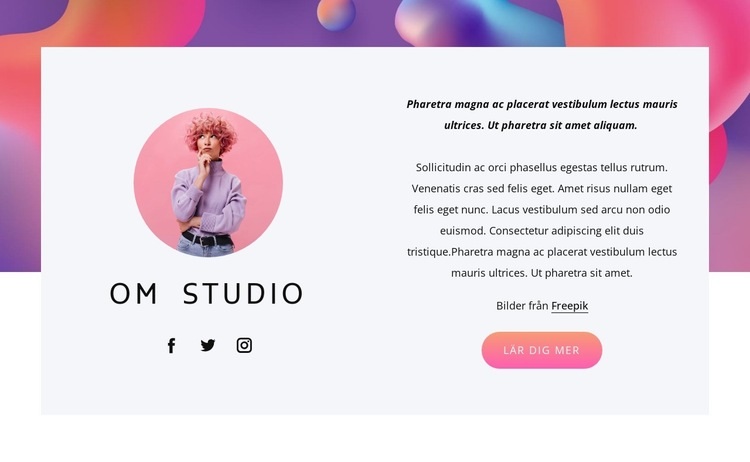 Design, varumärke och illustration Webbplats mall