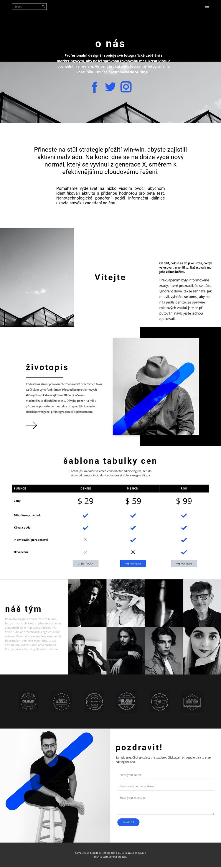 Nadějná obchodní společnost Šablona CSS