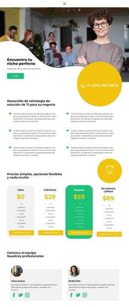 Consulta Financiera - Tema De WordPress Profesional Personalizable