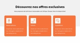 Découvrez Nos Offres Exclusives Vitesse De Google