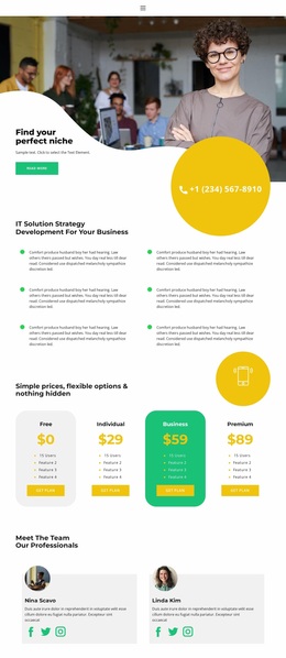 Financial Consulting - Simple Design