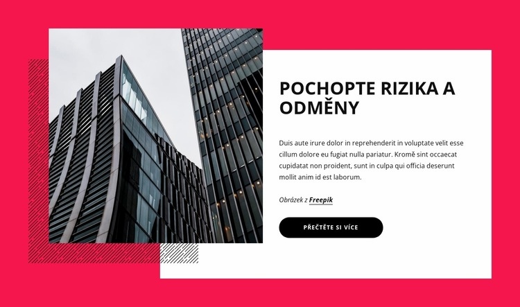 Druhy podnikatelských rizik Téma WordPress