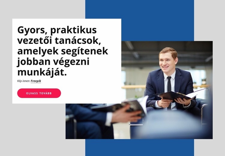 Gyakorlati vezetői tanácsadás WordPress Téma