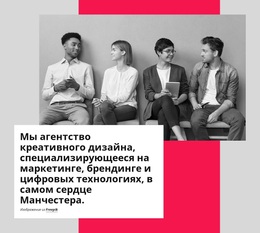 Мы Команда Увлеченных Цифровым Маркетингом — Бесплатная Тема WordPress