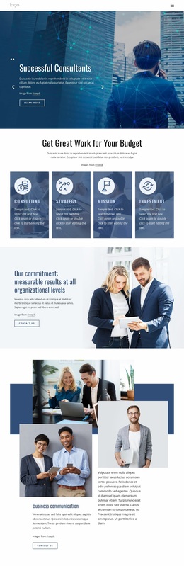 Successful Consultants - Custom Website Design