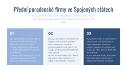 Přední Poradenské Firmy – Šablony Webových Stránek