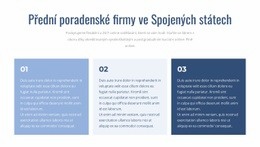 Přední Poradenské Firmy – Nejlepší Šablona Webu