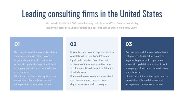 Leading consulting firms CSS Template