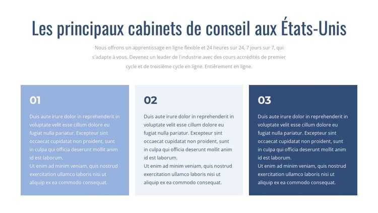 Cabinets de conseil de premier plan Conception de site Web