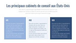 Cabinets De Conseil De Premier Plan - Modèle D'Une Page