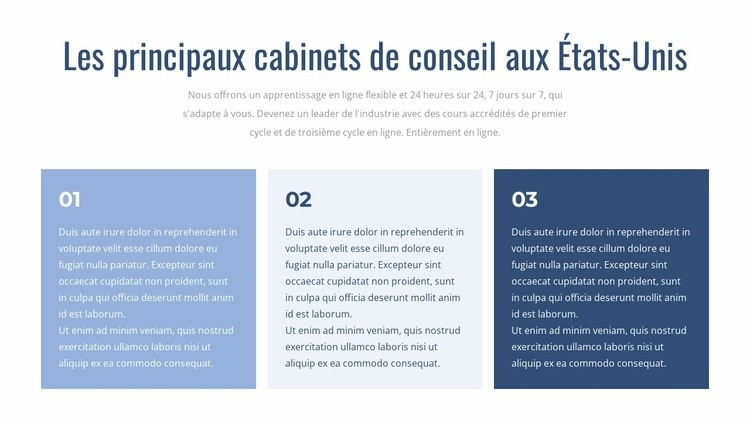 Cabinets de conseil de premier plan Modèle d'une page