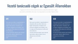 Vezető Tanácsadó Cégek – A Legjobb Webhelysablon