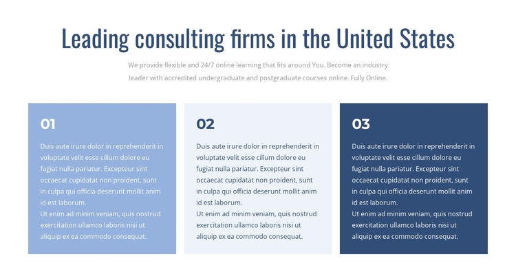 Leading consulting firms One Page Template