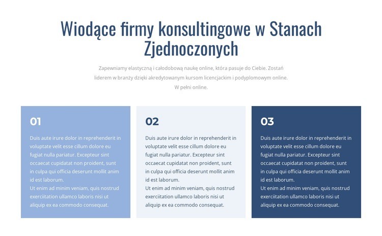 Wiodące firmy konsultingowe Makieta strony internetowej