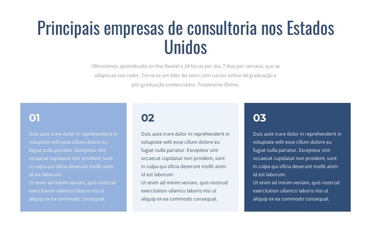 Principais empresas de consultoria Maquete do site