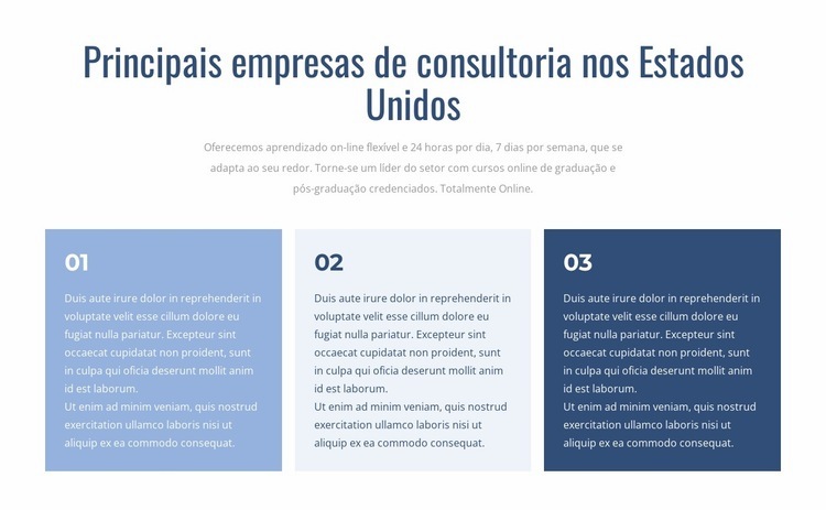 Principais empresas de consultoria Modelo de uma página