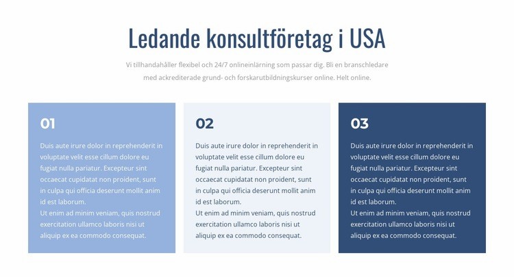 Ledande konsultföretag WordPress -tema