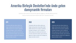 Önde Gelen Danışmanlık Firmaları Premium CSS Şablonu