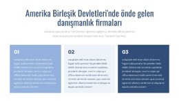 Önde Gelen Danışmanlık Firmaları - Web Sitesi Şablonları