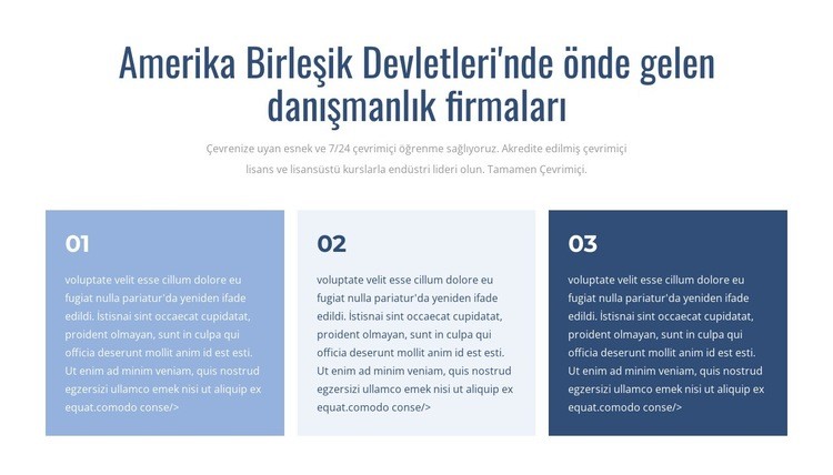 Önde gelen danışmanlık firmaları Web Sitesi Mockup'ı