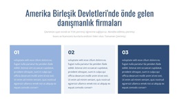 Önde Gelen Danışmanlık Firmaları - En Iyi Web Sitesi Şablonu