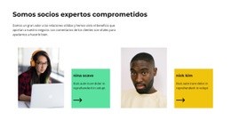 Apoyo Técnico: Creador De Sitios Web Definitivo