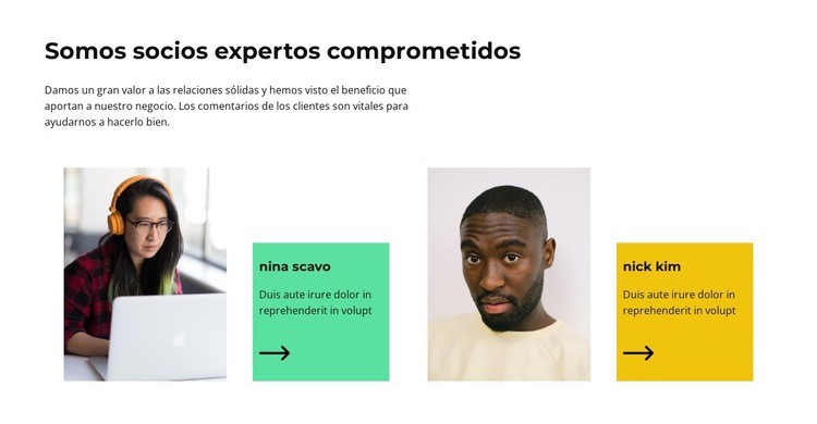 Apoyo técnico Diseño de páginas web