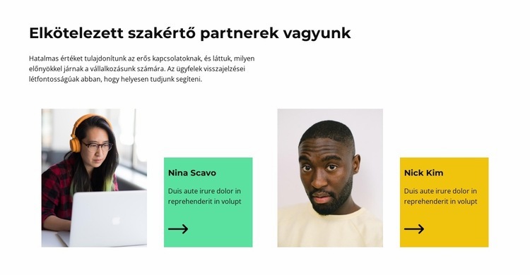 Technikai segítség Weboldal tervezés