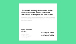 Faça Um Seguro - Tema WordPress Personalizado