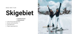 Urlaub In Den Schneebedeckten Bergen Einfache HTML-Vorlage Mit CSS