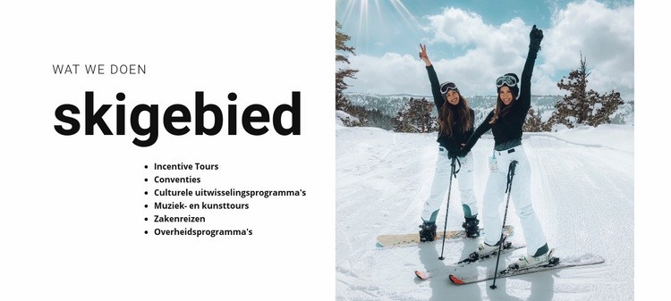 Vakantie in de besneeuwde bergen Website ontwerp