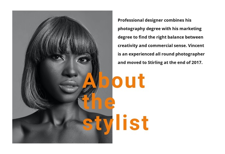 The best professional stylists CSS Template