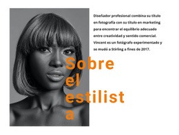 Los Mejores Estilistas Profesionales Página De Destino