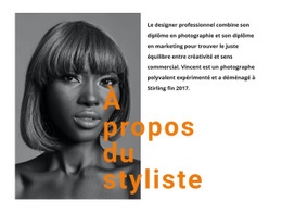 Les Meilleurs Stylistes Professionnels