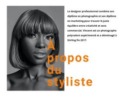 Les Meilleurs Stylistes Professionnels – Conçu Par Des Professionnels