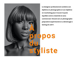 Les Meilleurs Stylistes Professionnels : Modèle De Site Web Simple