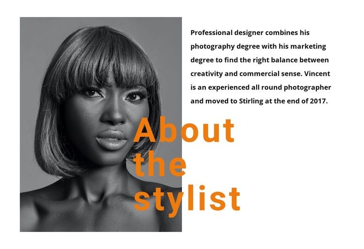 The best professional stylists Homepage Design