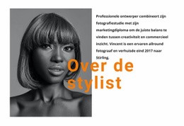 De Beste Professionele Stylisten - Aanpasbare Professionele Sjabloon Van Één Pagina