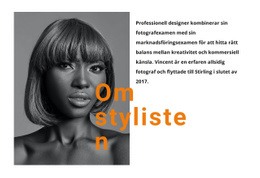 De Bästa Professionella Stylisterna - Bästa HTML-Mallen