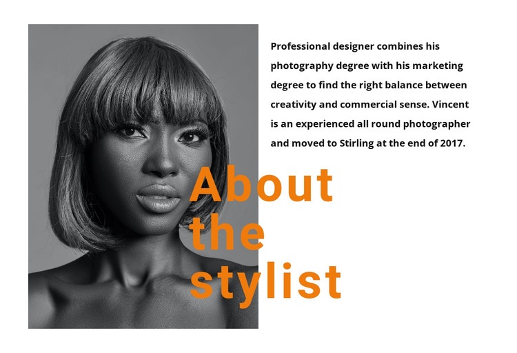 The best professional stylists Web Page Design