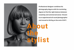 The Best Professional Stylists - Simple Website Template